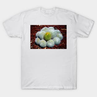 Cactus T-Shirt